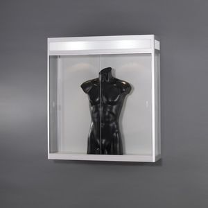 vetrina contemporanea