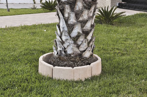 cordolo per albero 1