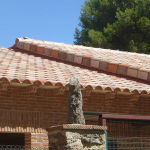 tegola portoghese / in terracotta / grande stampo