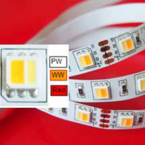 striscia flessibile a LED 1