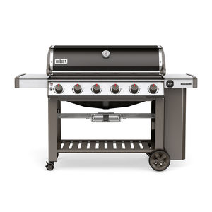barbecue a gas
