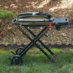 barbecue a gas 1