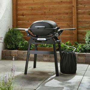 barbecue a gas 1