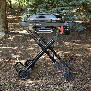 barbecue a gas 1