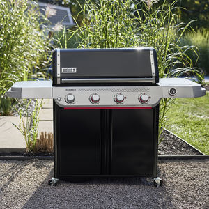 barbecue a gas 1