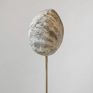 lampada da terra