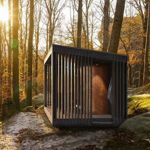 sauna finlandese 1