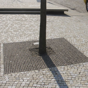 griglia per alberi quadrata