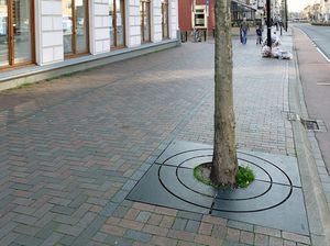 griglia per alberi quadrata
