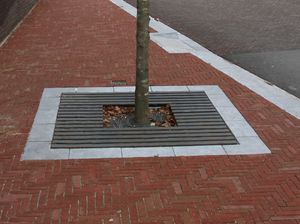 griglia per alberi quadrata