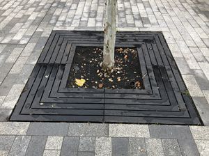 griglia per alberi quadrata