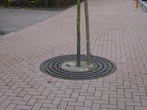 griglia per alberi rotonda
