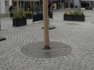 griglia per alberi rotonda