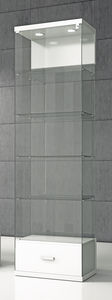 vetrina contemporanea 1