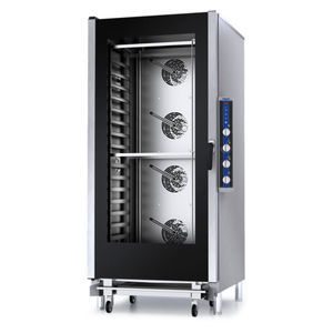 forno professionale