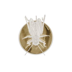applique design originale