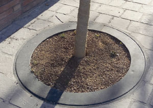 griglia per alberi rotonda 1