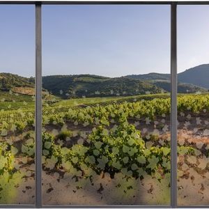 pellicola decorativa per applicazione su vetro