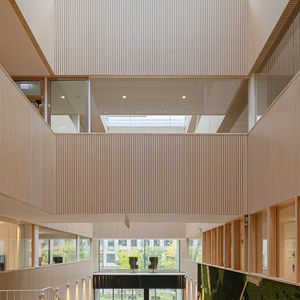pannello acustico per soffitto 1