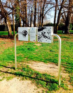 mobili da gioco per parco didattico scientifico