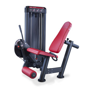attrezzo per bodybuilding estensione delle gambe 1