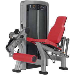 attrezzo per bodybuilding estensione delle gambe