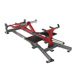 attrezzo per bodybuilding schiena