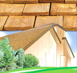 scandola in legno / per tetti