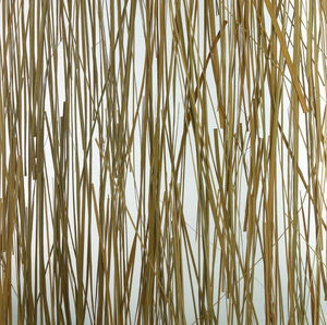 pannello decorativo per parete