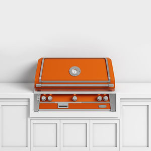 barbecue a gas