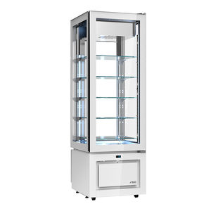 vetrina refrigerata ad armadio 1