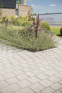pavé in granito 1