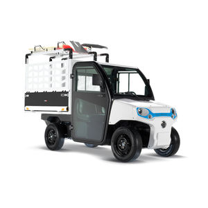 veicolo elettrico