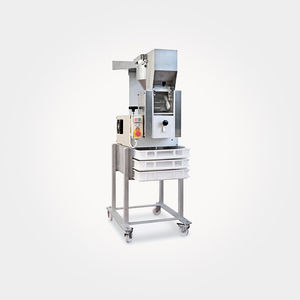 gnoccatrice professionale