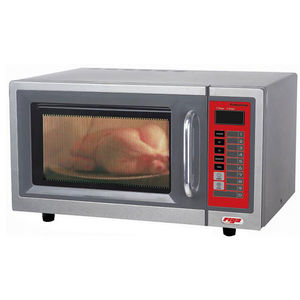 forno professionale