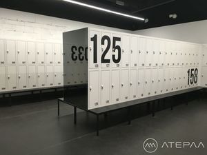 armadietto spogliatoio in metallo / standard / per edifici pubblici / per impianto sportivo