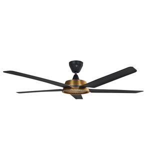 ventilatore da tetto 1