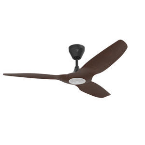 ventilatore da tetto 1