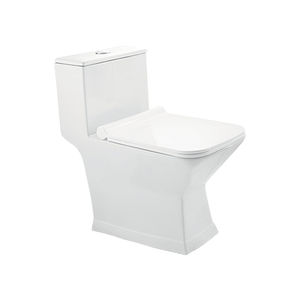 WC intelligente 1