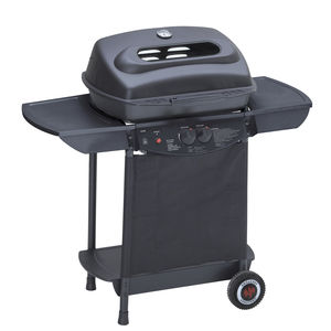 barbecue a gas 1