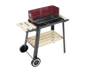 barbecue a carbonella