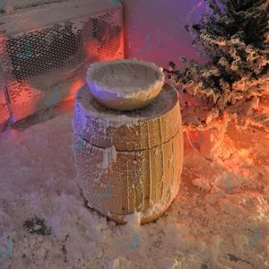 cabina della neve contract 1