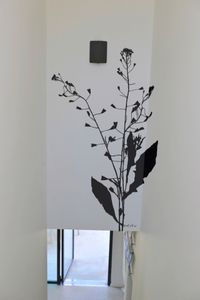 adesivo da parete natura