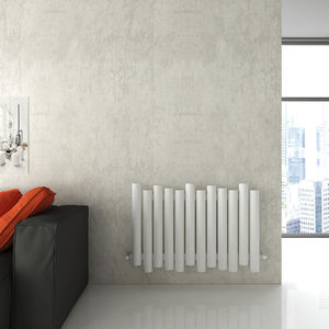 radiatore ad acqua calda 1