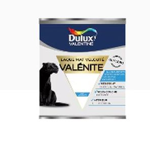 pittura di protezione