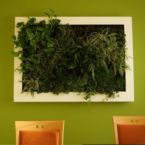 parete vegetale slim