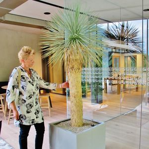 giardino indoor per sala mostre