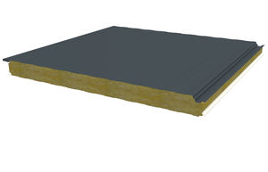 pannello sandwich per rivestimento di facciata 1