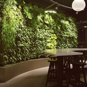 giardino verticale di piante viventi