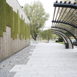 giardino verticale di piante viventi
